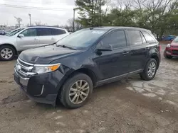 Salvage cars for sale from Copart Lexington, KY: 2012 Ford Edge SEL