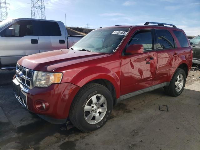 2009 Ford Escape Limited