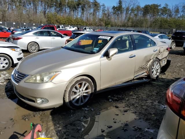 2011 Lexus ES 350