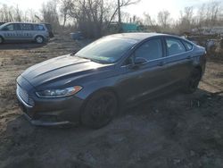 Salvage cars for sale at Baltimore, MD auction: 2016 Ford Fusion SE