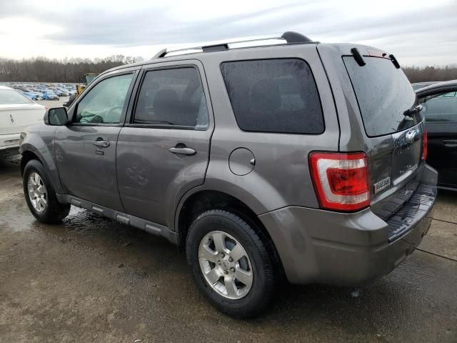 2012 Ford Escape Limited