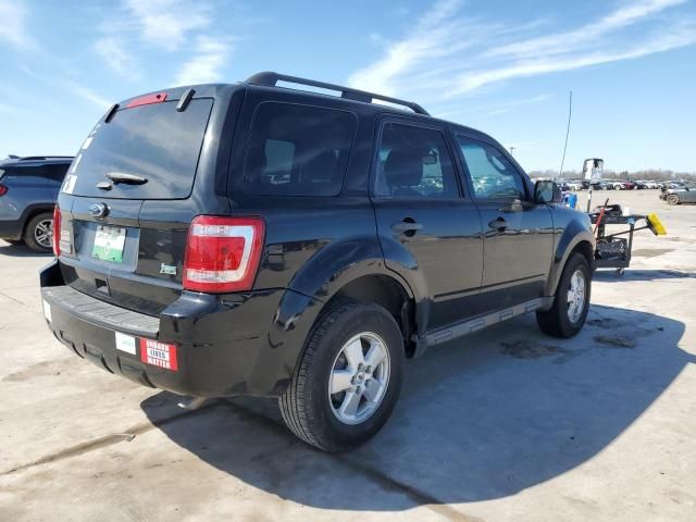 2012 Ford Escape XLT