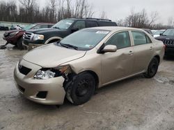 Salvage cars for sale at Leroy, NY auction: 2010 Toyota Corolla Base