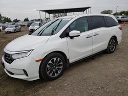 Salvage cars for sale from Copart San Diego, CA: 2023 Honda Odyssey EXL