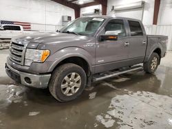 Salvage trucks for sale at Avon, MN auction: 2013 Ford F150 Supercrew