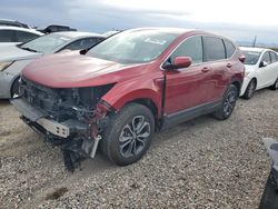 Salvage cars for sale from Copart Tucson, AZ: 2021 Honda CR-V EXL