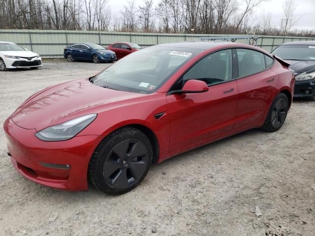 2021 Tesla Model 3