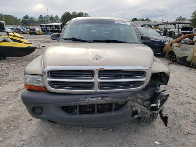 2004 Dodge Dakota SXT