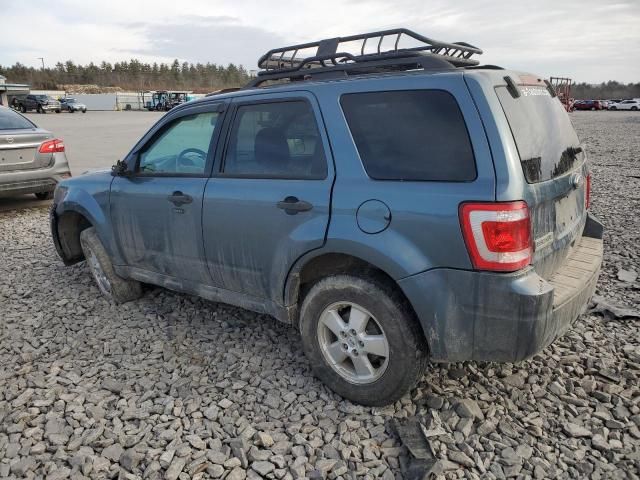 2010 Ford Escape XLT