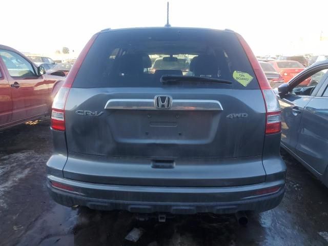 2010 Honda CR-V EXL