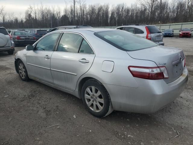 2009 Toyota Camry Hybrid