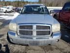 2005 Dodge Dakota Quad SLT