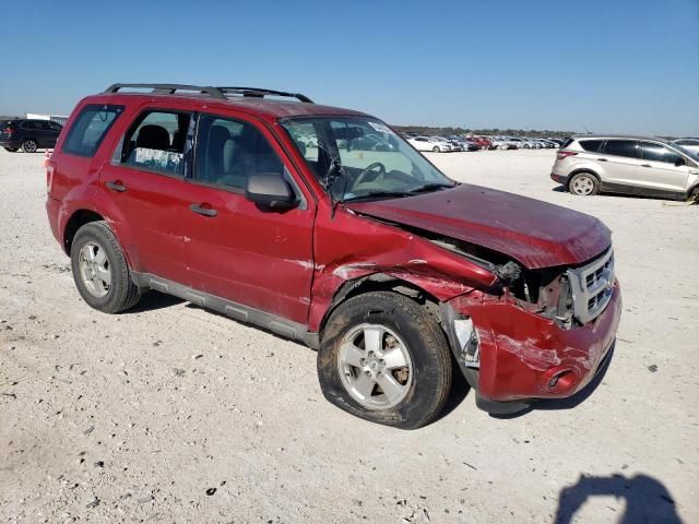 2011 Ford Escape XLS