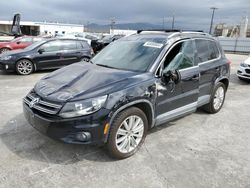 Volkswagen Tiguan salvage cars for sale: 2013 Volkswagen Tiguan S