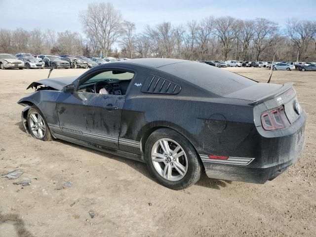 2014 Ford Mustang