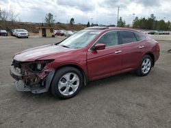 Honda Accord salvage cars for sale: 2010 Honda Accord Crosstour EXL