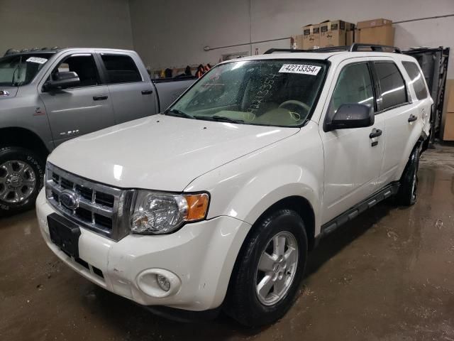 2009 Ford Escape XLT