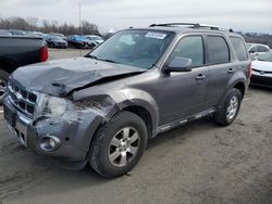 Ford salvage cars for sale: 2012 Ford Escape Limited