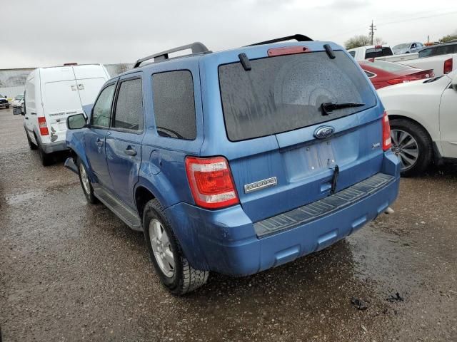 2010 Ford Escape XLT