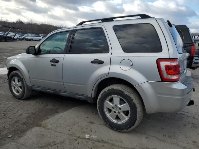 2011 Ford Escape XLT