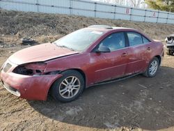 Salvage cars for sale from Copart Hartford City, IN: 2005 Pontiac G6