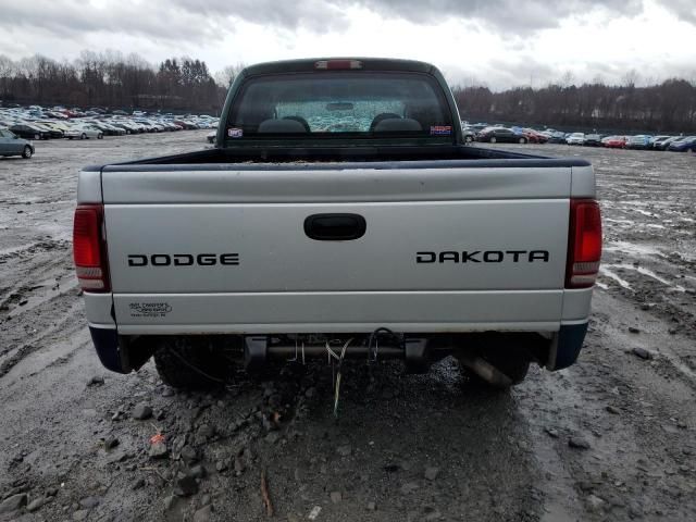 2000 Dodge Dakota Quattro