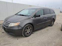 Salvage cars for sale from Copart Temple, TX: 2012 Honda Odyssey EXL