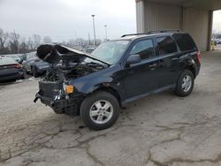 Salvage cars for sale at Fort Wayne, IN auction: 2012 Ford Escape XLT