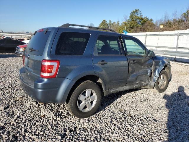 2010 Ford Escape XLS