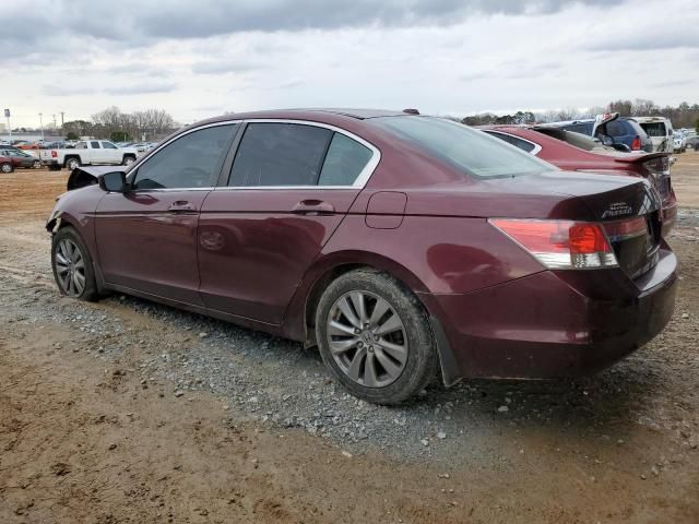 2011 Honda Accord EXL