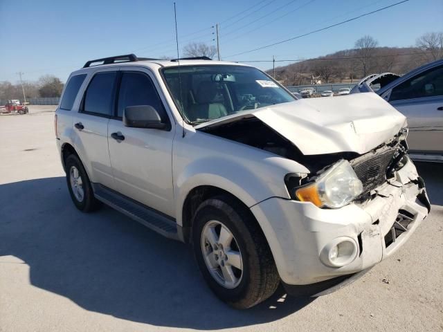 2010 Ford Escape XLT