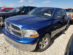 Salvage cars for sale from Copart New Braunfels, TX: 2010 Dodge RAM 1500
