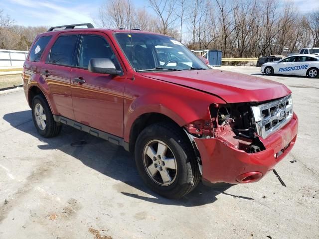 2011 Ford Escape XLT