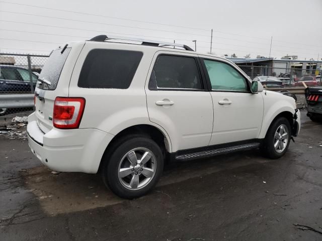 2011 Ford Escape Limited