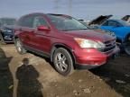 2010 Honda CR-V EXL