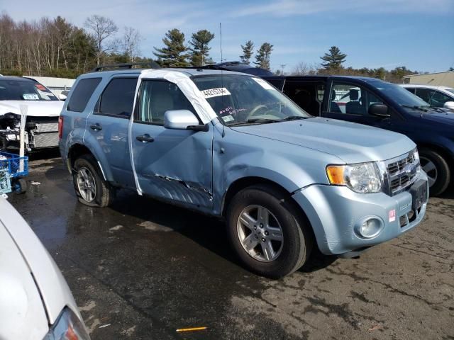 2008 Ford Escape HEV