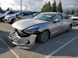 Hyundai Sonata Hybrid salvage cars for sale: 2023 Hyundai Sonata Hybrid