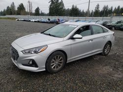 2019 Hyundai Sonata SE for sale in Graham, WA