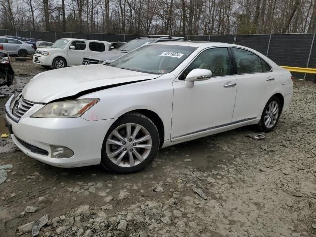 2010 Lexus ES 350