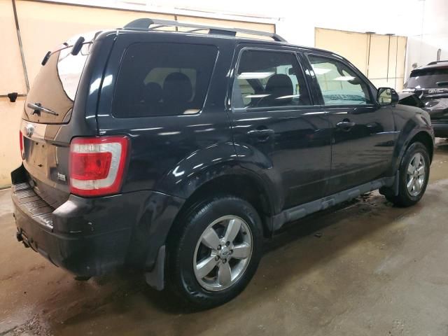 2010 Ford Escape Limited