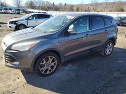 Ford Escape salvage cars for sale: 2013 Ford Escape SEL