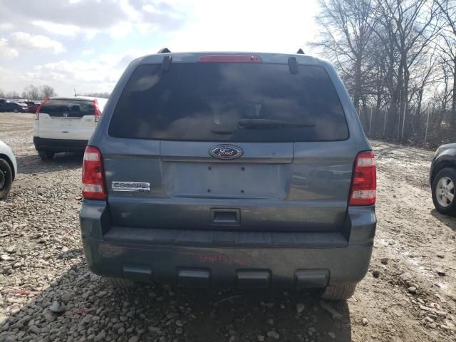 2010 Ford Escape XLT