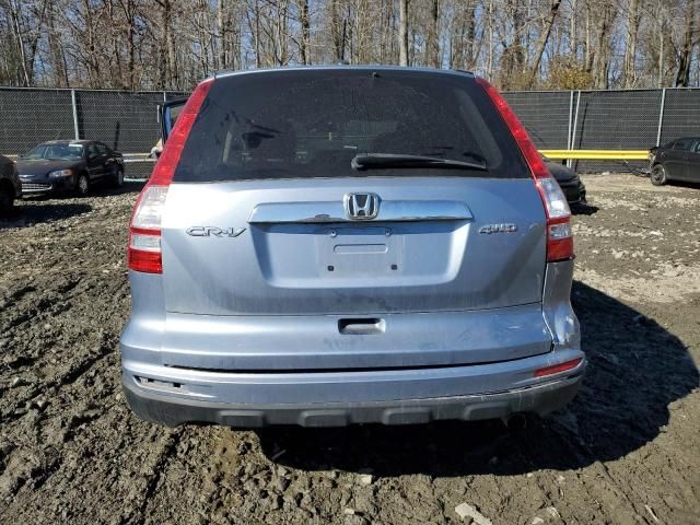 2010 Honda CR-V EXL