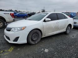 Salvage cars for sale from Copart Eugene, OR: 2014 Toyota Camry L