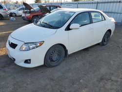 Toyota salvage cars for sale: 2010 Toyota Corolla Base