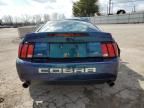 2004 Ford Mustang Cobra SVT