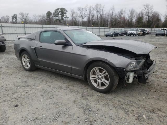 2013 Ford Mustang