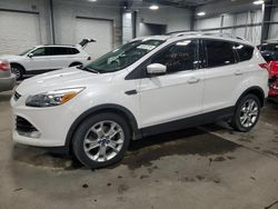 Salvage cars for sale from Copart Ham Lake, MN: 2014 Ford Escape Titanium