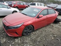 Salvage cars for sale at Waldorf, MD auction: 2023 Hyundai Elantra SEL