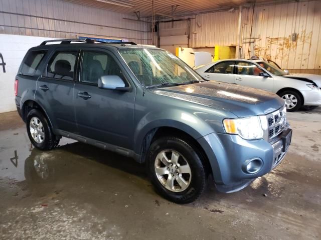 2010 Ford Escape Limited